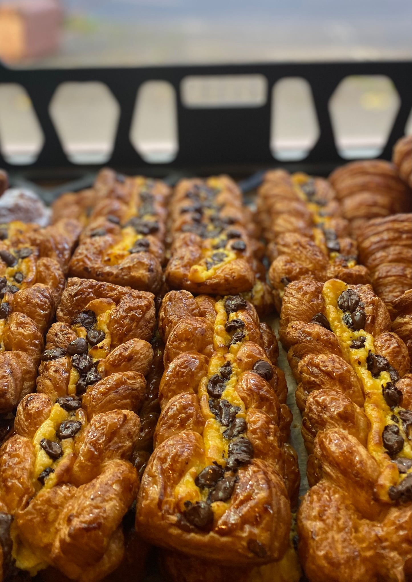 Vanilla Custard + Choc Chip Twist
